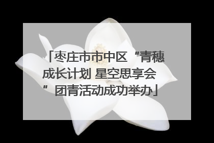 枣庄市市中区“青穗成长计划 星空思享会”团青活动成功举办