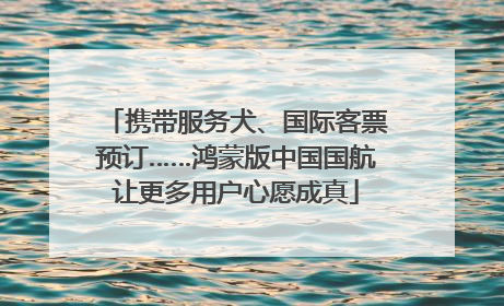 携带服务犬、国际客票预订……鸿蒙版中国国航让更多用户心愿成真
