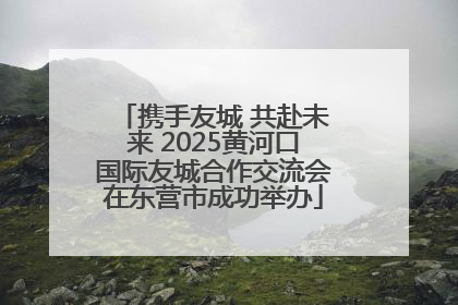 携手友城 共赴未来 2025黄河口国际友城合作交流会在东营市成功举办