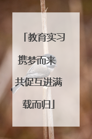 教育实习携梦而来 共促互进满载而归