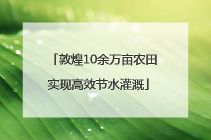 敦煌10余万亩农田实现高效节水灌溉