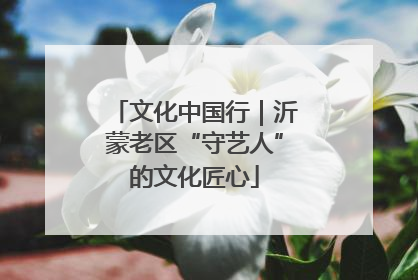 文化中国行｜沂蒙老区“守艺人”的文化匠心
