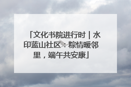 文化书院进行时｜水印蓝山社区：粽情暖邻里，端午共安康