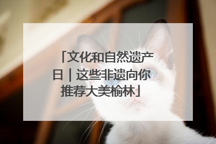 文化和自然遗产日｜这些非遗向你推荐大美榆林