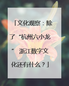 文化观察：除了“杭州六小龙” 浙江数字文化还有什么？