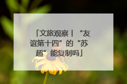 文旅观察丨“友谊第十四”的“苏超”能复制吗