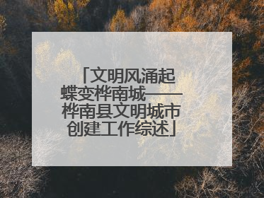 文明风涌起 蝶变桦南城——桦南县文明城市创建工作综述