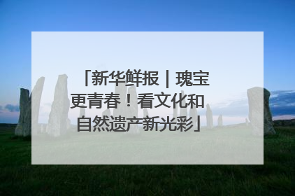 新华鲜报｜瑰宝更青春！看文化和自然遗产新光彩