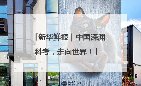 新华鲜报｜中国深渊科考，走向世界！