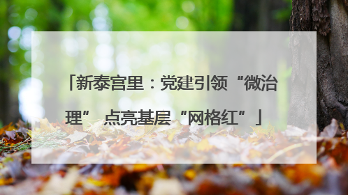新泰宫里：党建引领“微治理” 点亮基层“网格红”