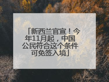 新西兰官宣！今年11月起，中国公民符合这个条件可免签入境