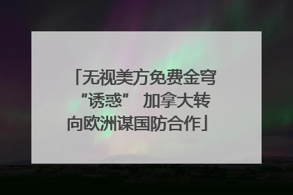 无视美方免费金穹“诱惑” 加拿大转向欧洲谋国防合作