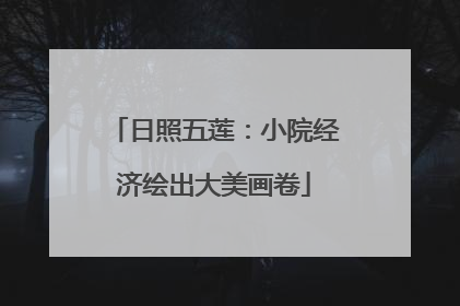 日照五莲：小院经济绘出大美画卷