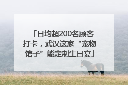 日均超200名顾客打卡，武汉这家“宠物馆子”能定制生日宴