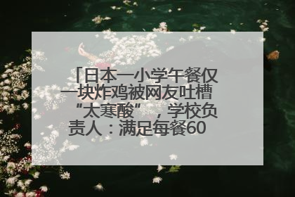 日本一小学午餐仅一块炸鸡被网友吐槽“太寒酸”，学校负责人：满足每餐600千卡的标准