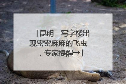 昆明一写字楼出现密密麻麻的飞虫，专家提醒→