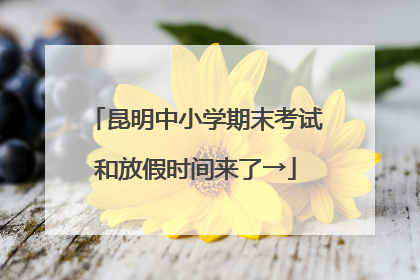 昆明中小学期末考试和放假时间来了→
