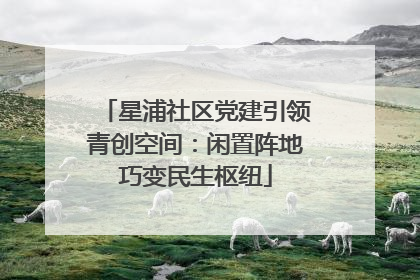星浦社区党建引领青创空间：闲置阵地巧变民生枢纽