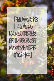 智库要论丨马海涛：以更加积极的财政政策应对外部不确定性
