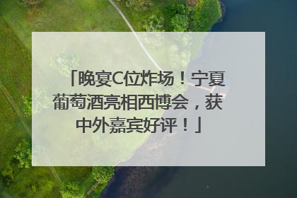 晚宴C位炸场！宁夏葡萄酒亮相西博会，获中外嘉宾好评！