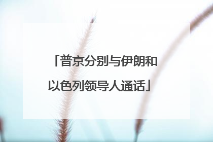普京分别与伊朗和以色列领导人通话