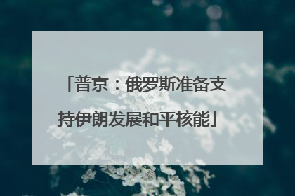 普京：俄罗斯准备支持伊朗发展和平核能