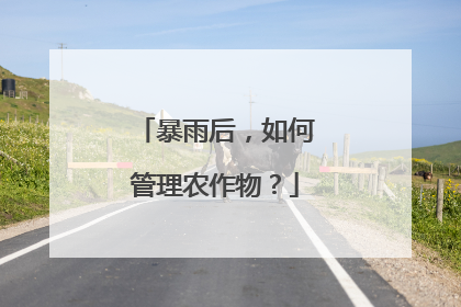 暴雨后，如何管理农作物？