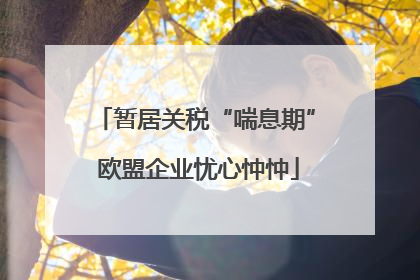 暂居关税“喘息期” 欧盟企业忧心忡忡