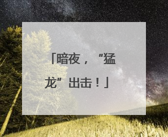 暗夜，“猛龙”出击！
