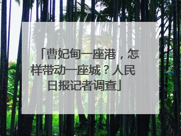 曹妃甸一座港，怎样带动一座城？人民日报记者调查
