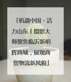 机遇中国・活力山东丨摄影大师聚焦临沂新明辉商城，展现商贸物流新风貌