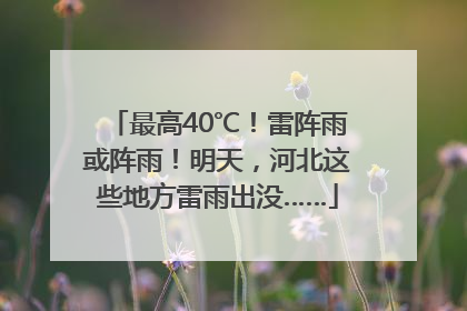 最高40℃！雷阵雨或阵雨！明天，河北这些地方雷雨出没……