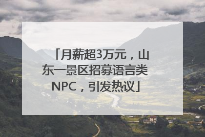 月薪超3万元，山东一景区招募语言类NPC，引发热议