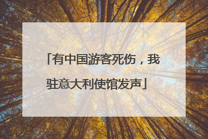 有中国游客死伤，我驻意大利使馆发声