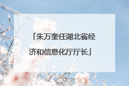朱万奎任湖北省经济和信息化厅厅长