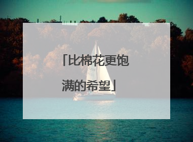 比棉花更饱满的希望