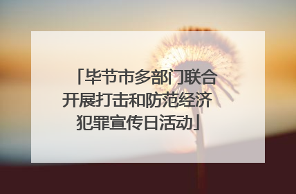 毕节市多部门联合开展打击和防范经济犯罪宣传日活动