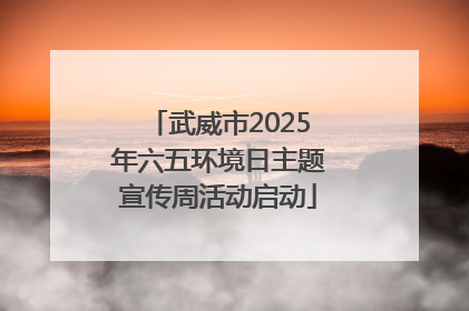 武威市2025年六五环境日主题宣传周活动启动