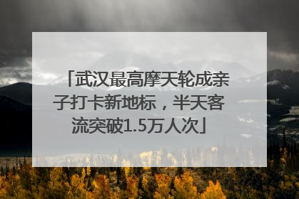 武汉最高摩天轮成亲子打卡新地标，半天客流突破1.5万人次