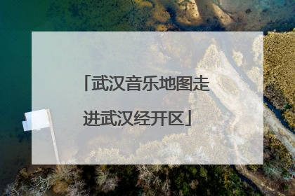 武汉音乐地图走进武汉经开区