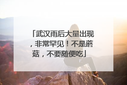 武汉雨后大量出现，非常罕见！不是蘑菇，不要随便吃