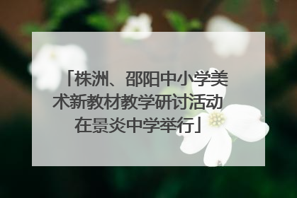 株洲、邵阳中小学美术新教材教学研讨活动在景炎中学举行