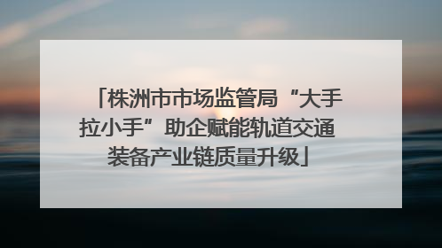 株洲市市场监管局“大手拉小手”助企赋能轨道交通装备产业链质量升级