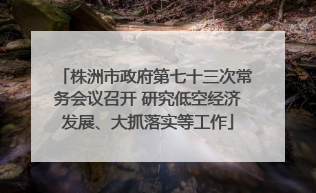 株洲市政府第七十三次常务会议召开 研究低空经济发展、大抓落实等工作