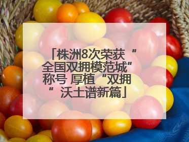 株洲8次荣获“全国双拥模范城”称号 厚植“双拥”沃土谱新篇
