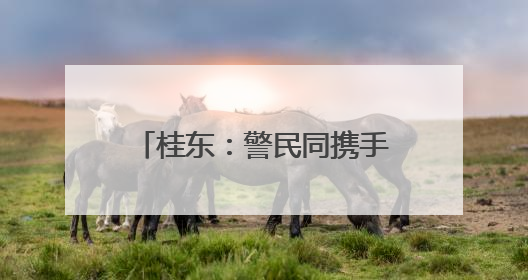 桂东：警民同携手 共护生态和谐