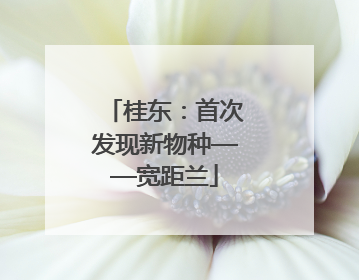桂东：首次发现新物种——宽距兰