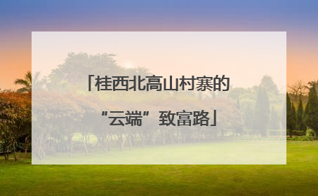 桂西北高山村寨的“云端”致富路