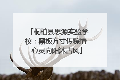 桐柏县思源实验学校：黑板方寸传粽情 心灵向阳沐古风