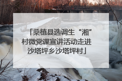 桑植县选调生“湘”村微党课宣讲活动走进沙塔坪乡沙塔坪村